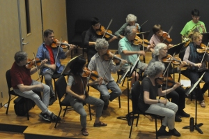 many violinists playing